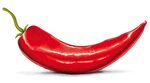 鲜红弯曲辣椒特写