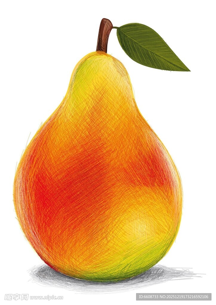 彩色绘画梨果