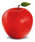 鲜红饱满的单个苹果
