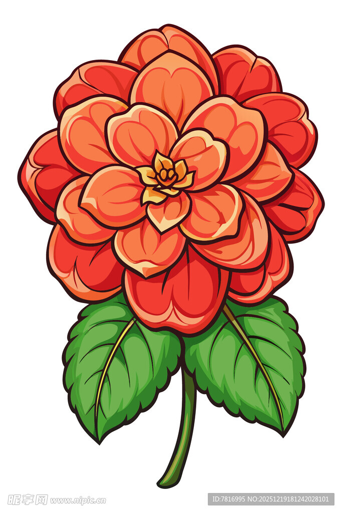 鲜艳橘红色花朵插画