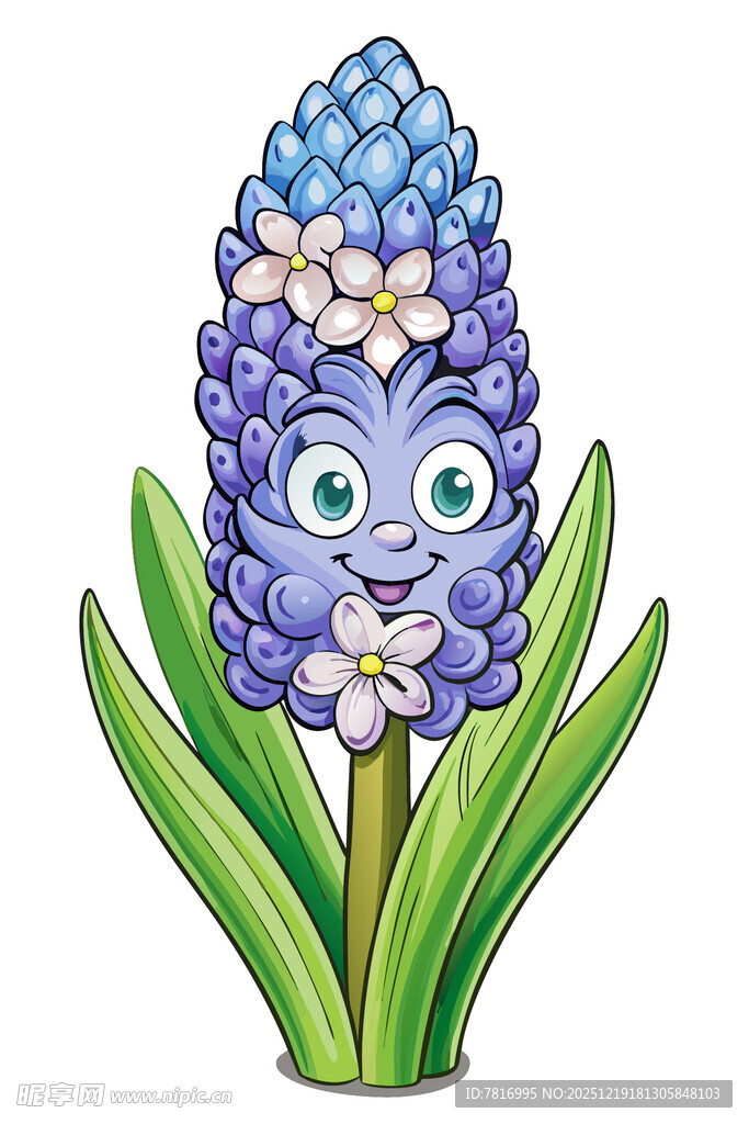 可爱风风信子卡通形象