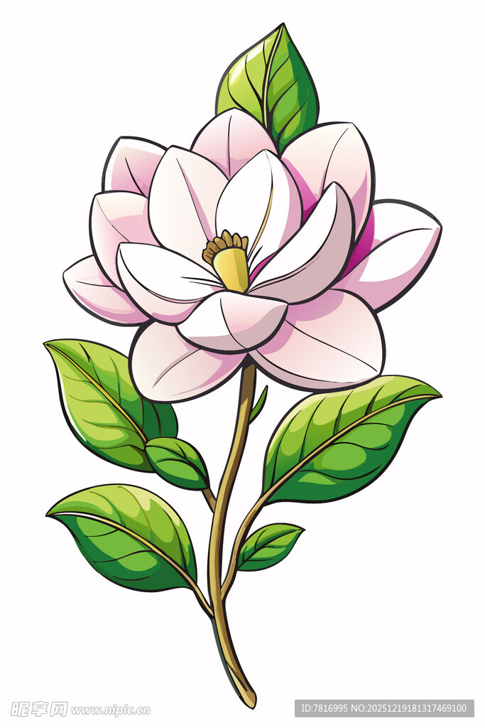 手绘粉色玉兰花插画