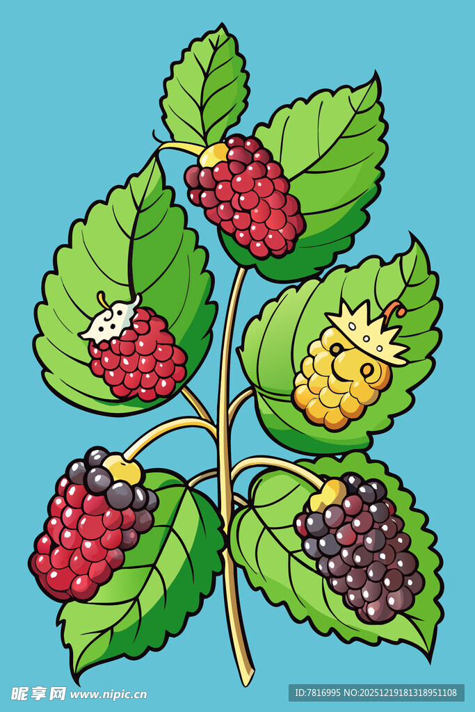 枝头的桑葚与觅食小虫