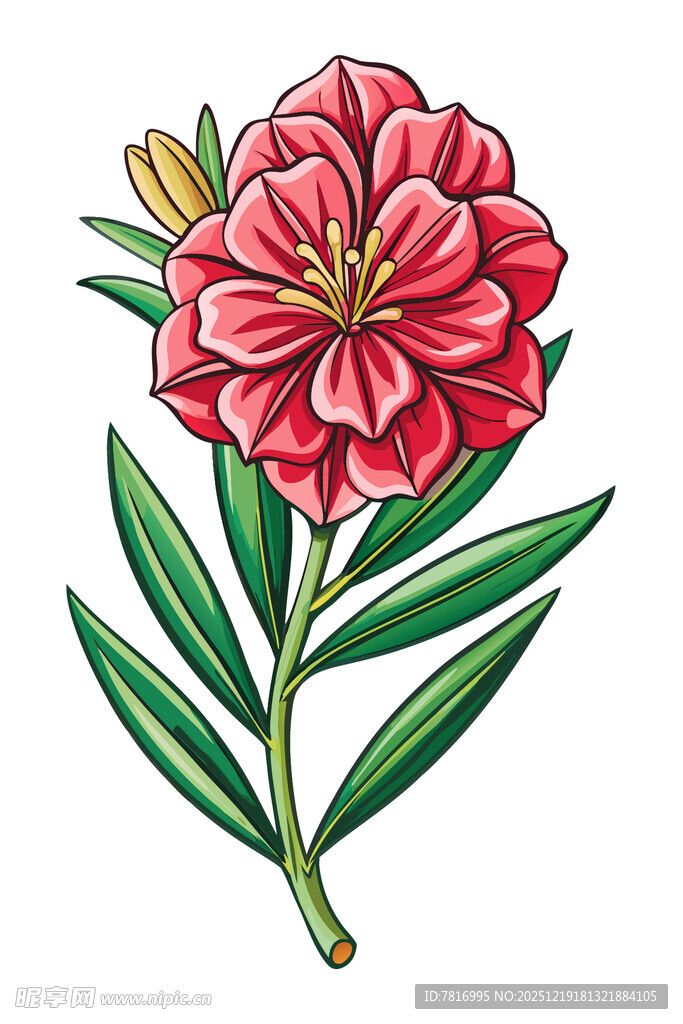 手绘红色花卉植物插画