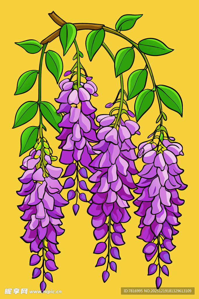 垂挂的紫色紫藤花