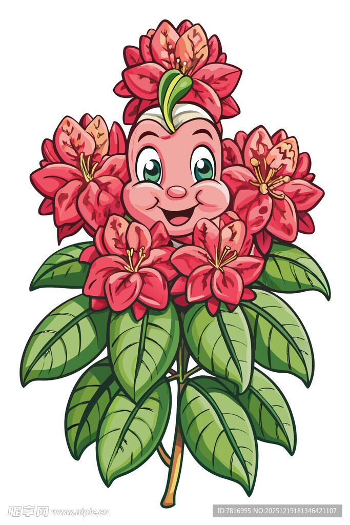 笑脸杜鹃花