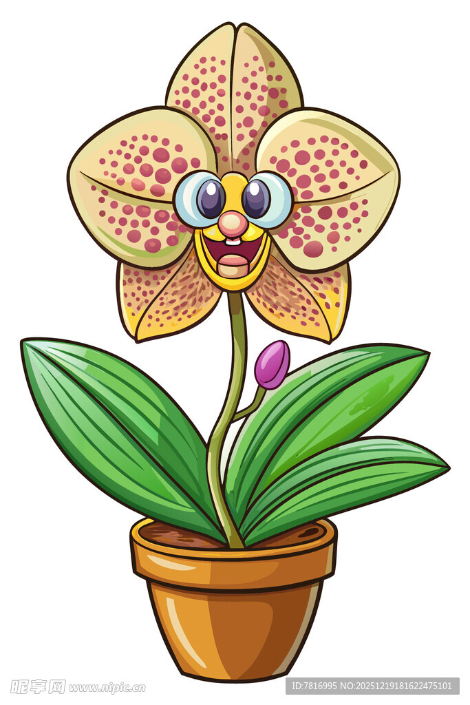 可爱卡通兰花盆栽