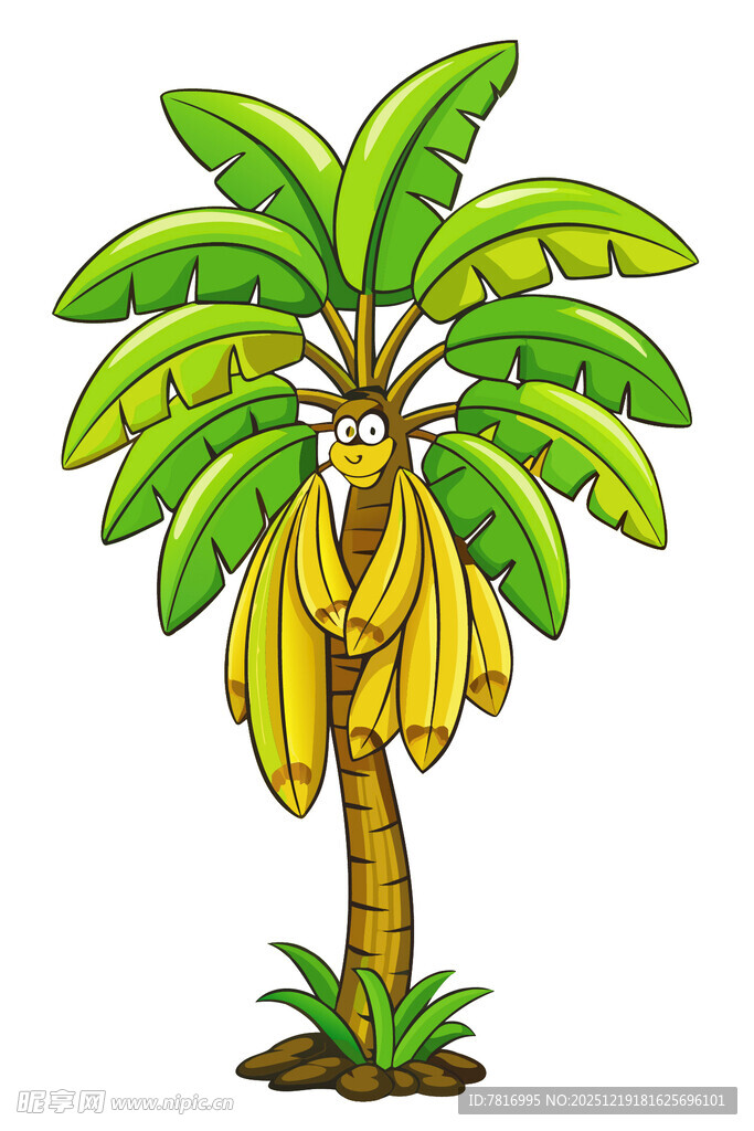 一棵硕果累累的香蕉树