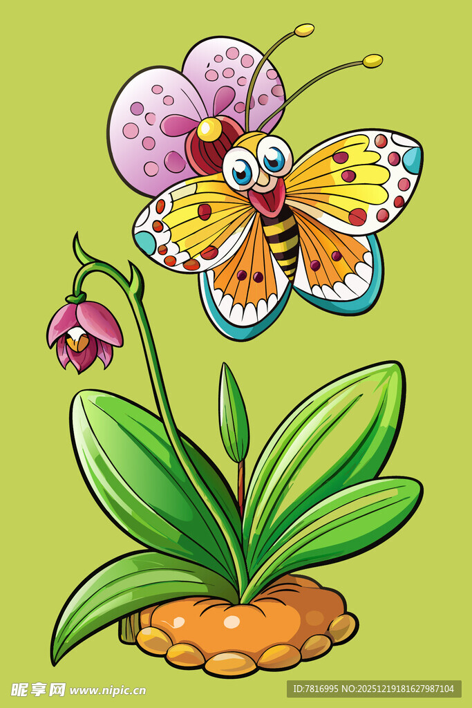 蝴蝶停留在多彩兰花上