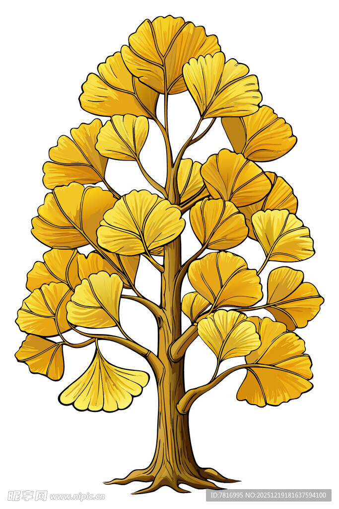 金黄银杏树插画