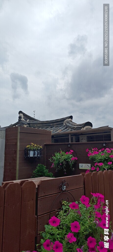 韩国首尔中式建筑旁的绚烂花丛