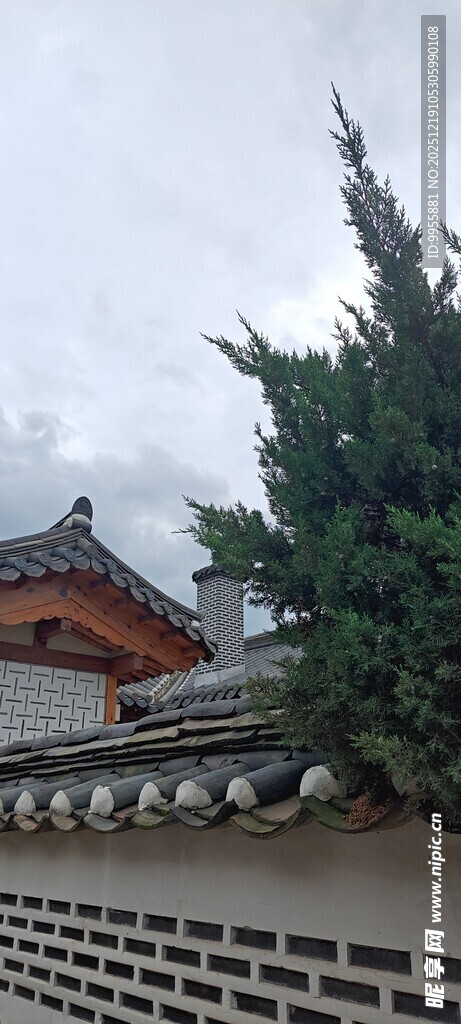 韩国首尔中式古建筑屋顶与绿树