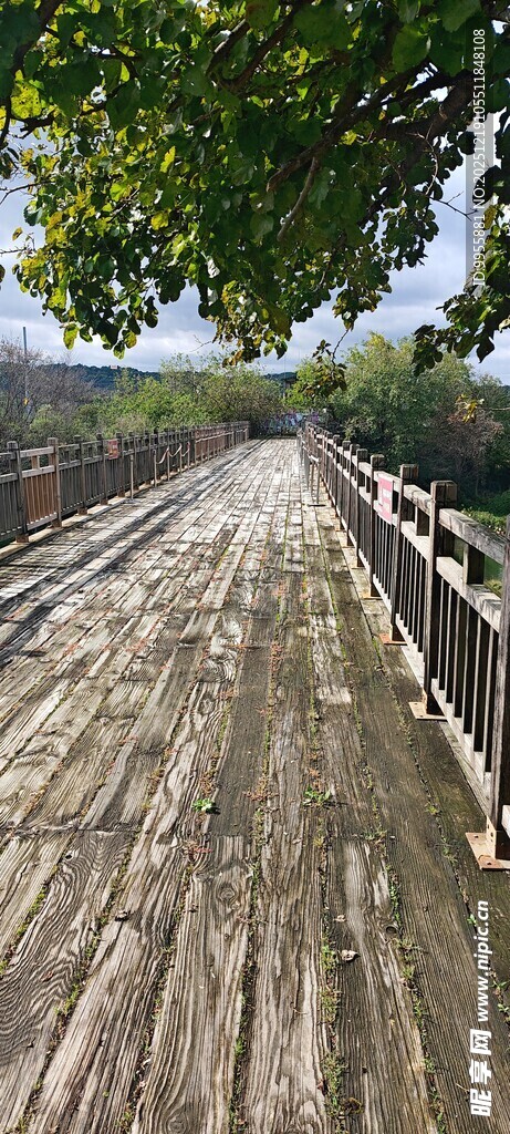 乡间木栈道自然好风光