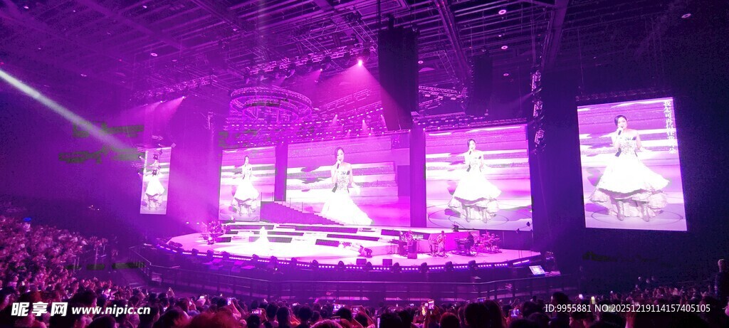 大湾区热闹的紫色灯光演唱会现场