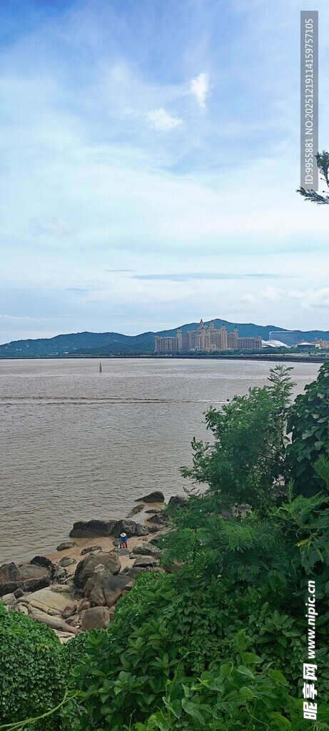 江边景致绿植与江水相映