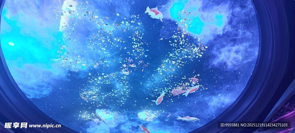 大湾区澳门梦幻海底世界景象