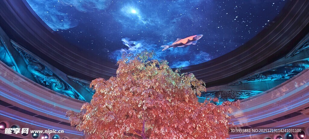 大湾区梦幻穹顶下的绚烂花卉景观