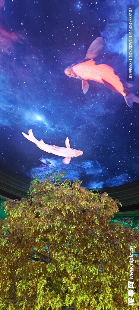 大湾区澳梦幻海底景观与游动鱼类