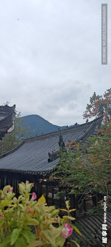 江西婺源中式古建筑旁的繁茂花卉