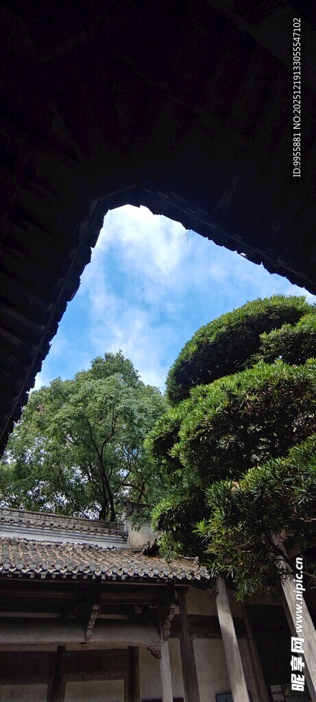 江西婺源古建屋檐下的葱郁绿树