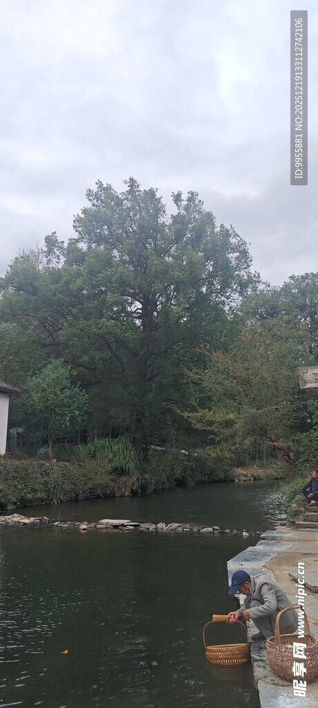 湖边景致小船停靠岸边