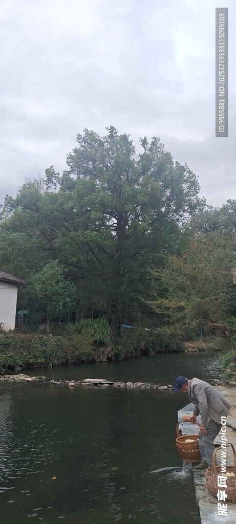 湖畔风景绿树环绕的水域