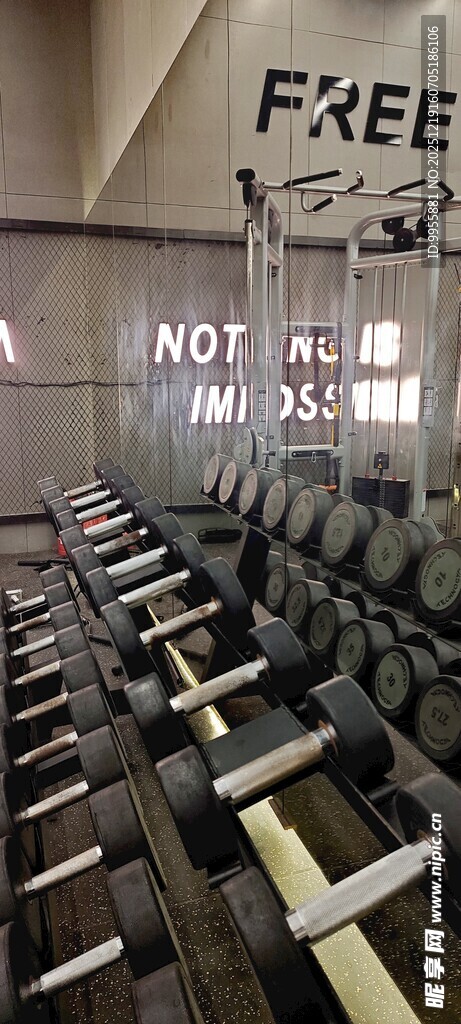 1健身房内排列整齐的哑铃