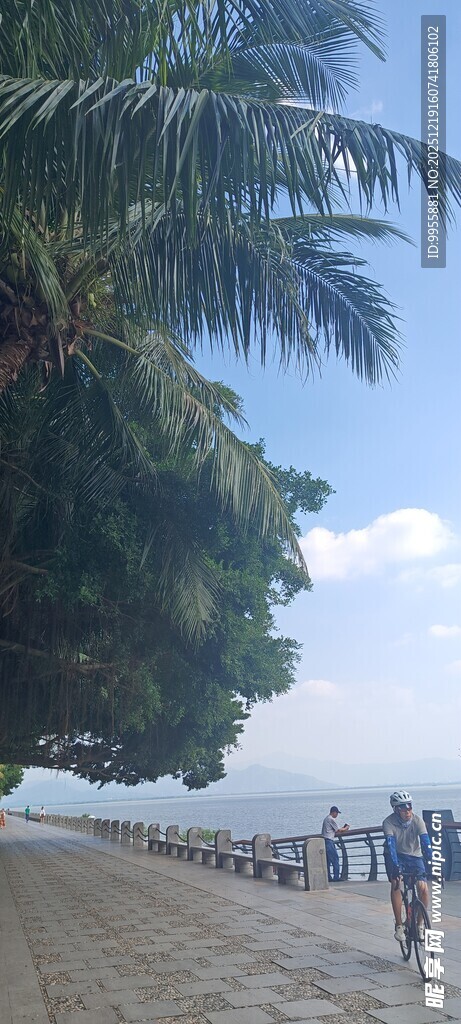 1海滩漫步的人群与椰子树