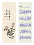 古典花卉小写意菊花书签 