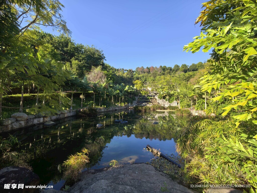 宁静湖畔绿意环绕的美景