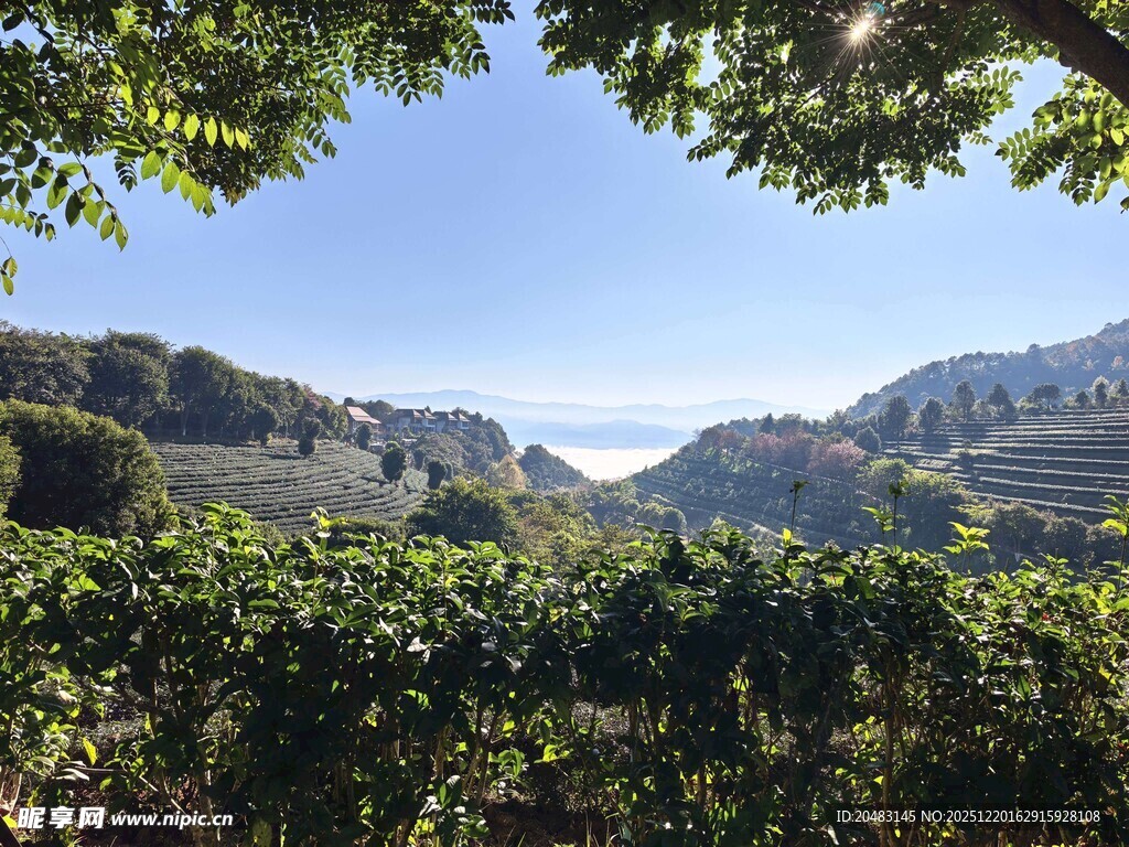 山间绿意盎然的繁茂景致