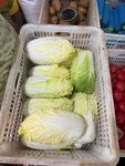 新鲜白菜待售