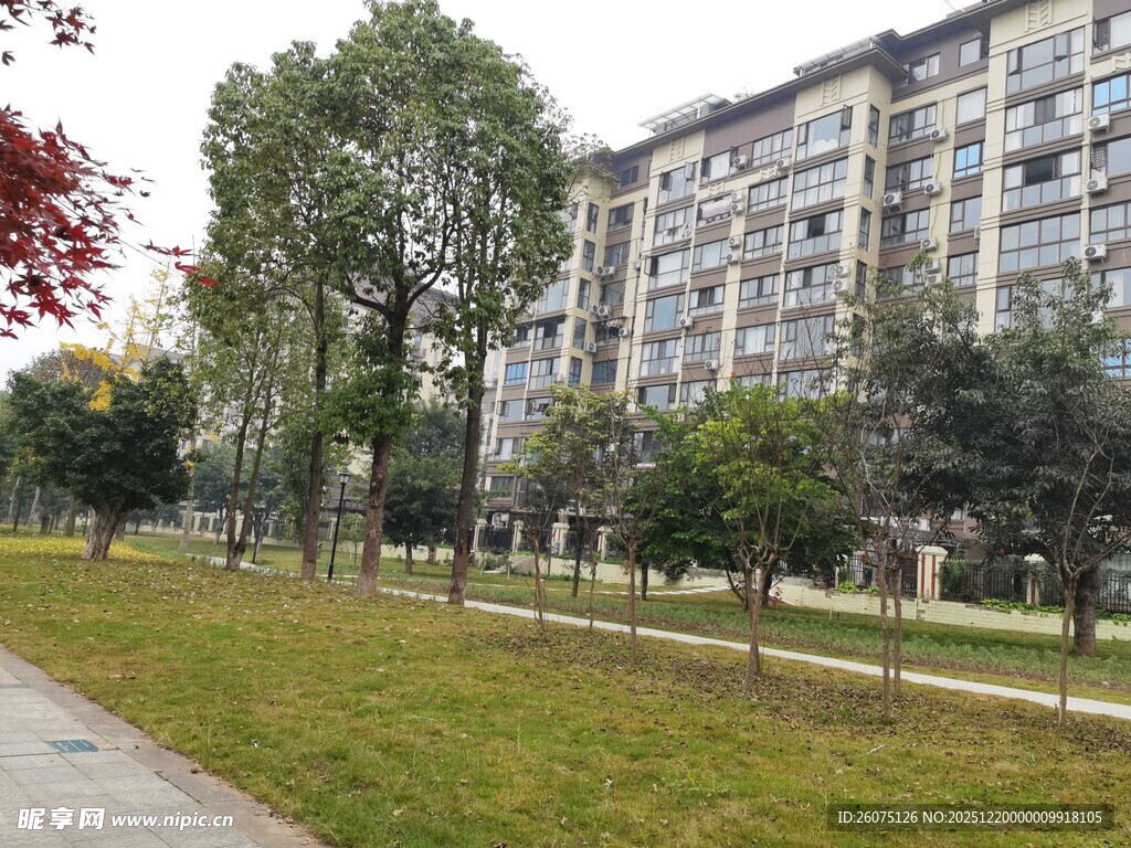 小区旁的绿化景观