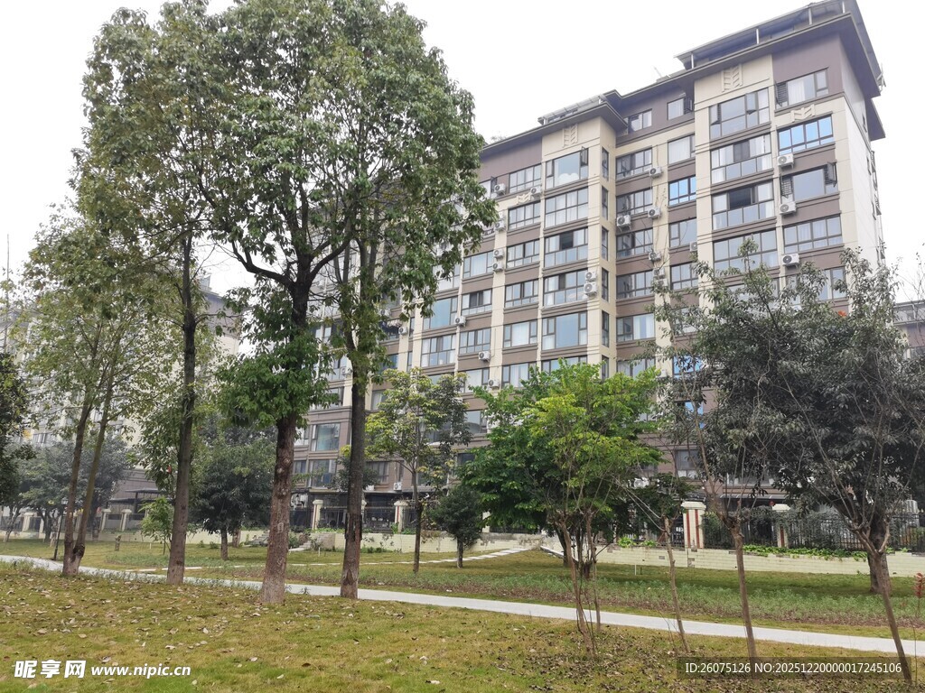 小区周边绿化景观