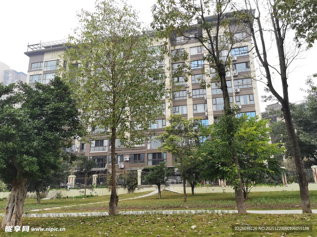 小区周边绿化景观