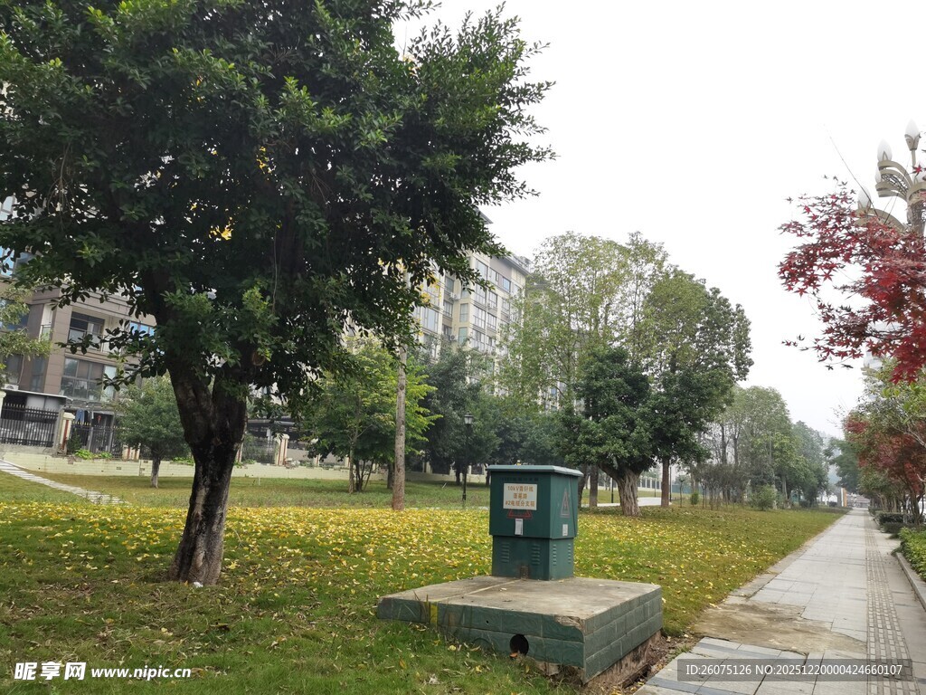 城市公园中的静谧小径