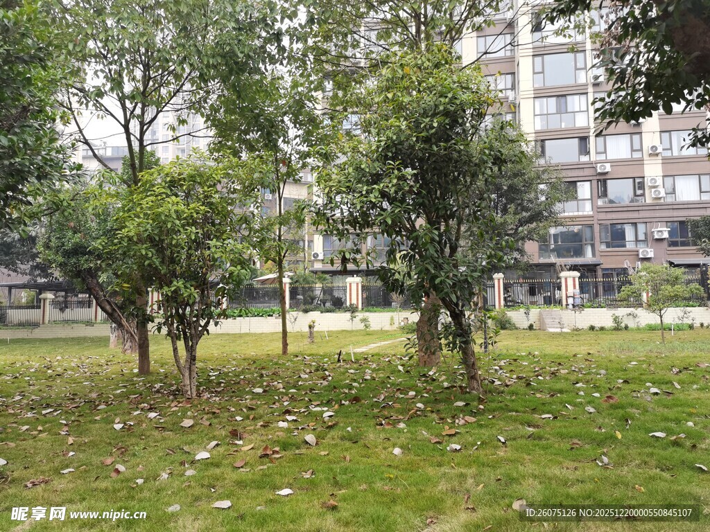 小区内绿意盎然的草地树木
