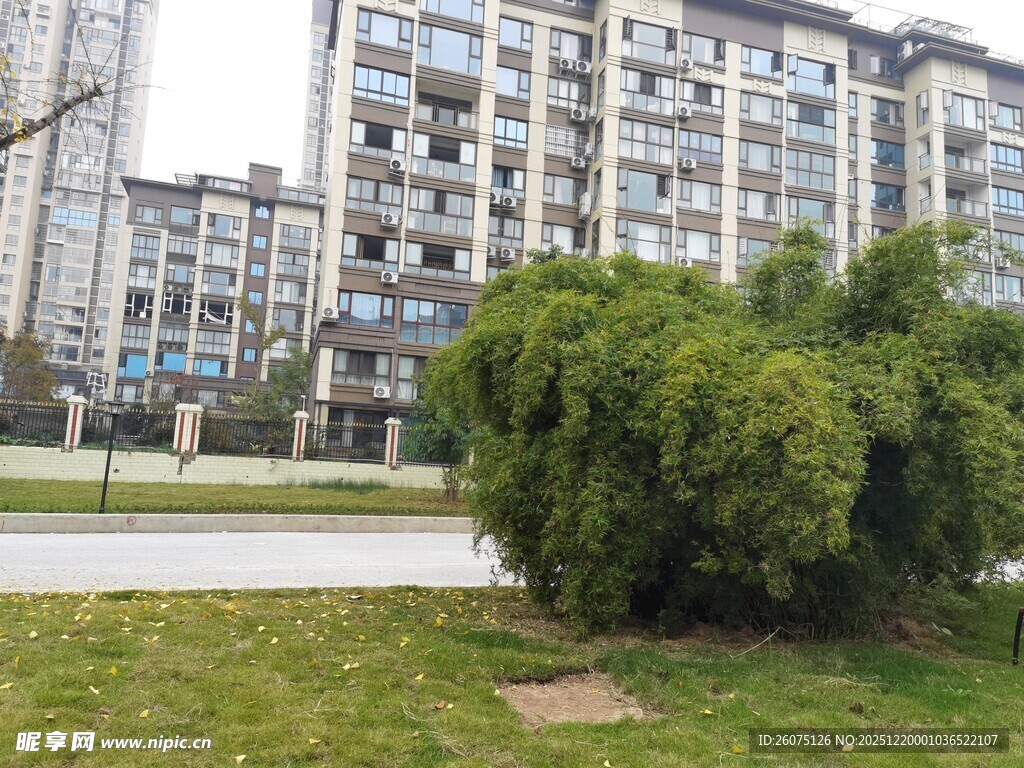 小区绿植与楼房景观