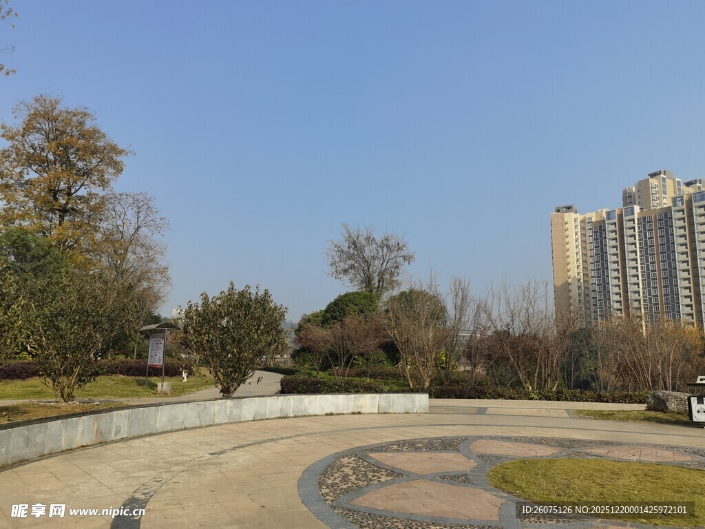 城市公园中的开阔景观