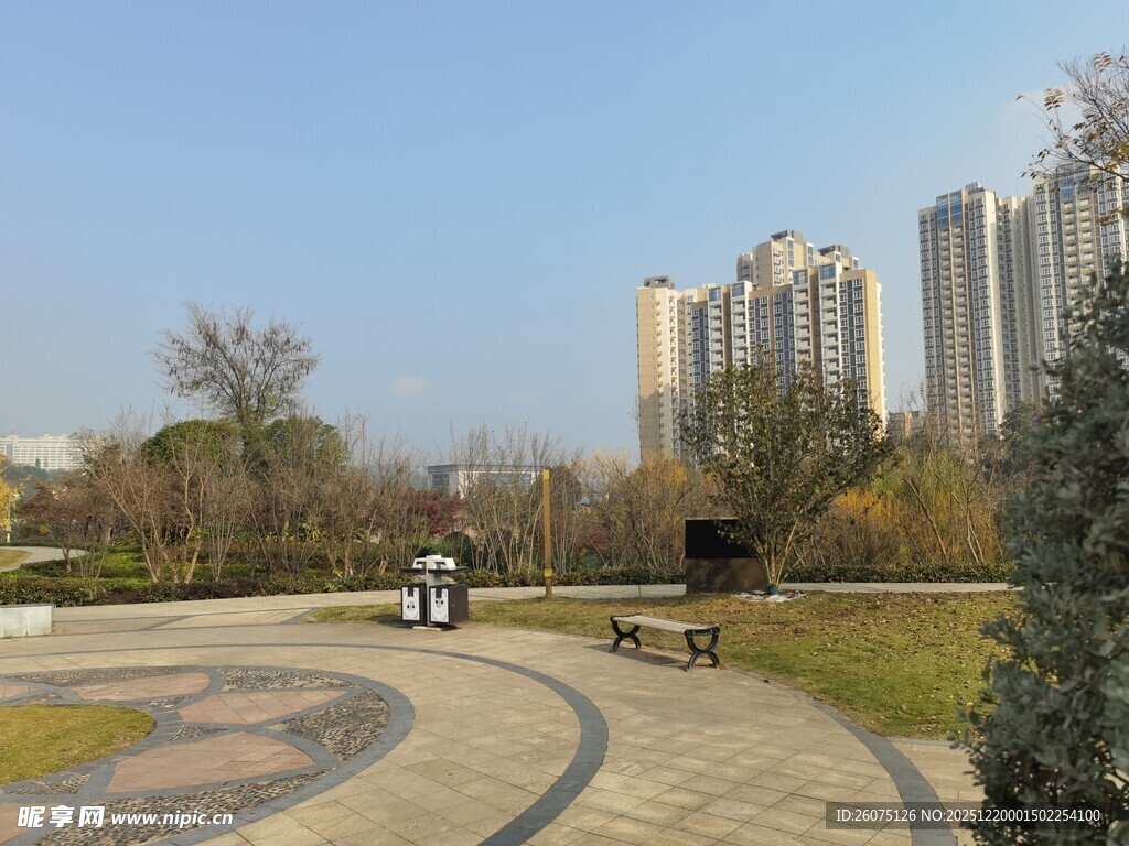 城市公园中的开阔休闲场景