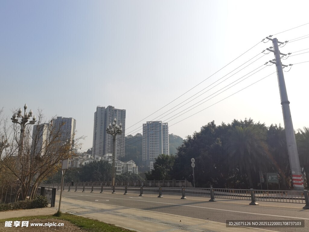 城市道路旁的高楼与绿树