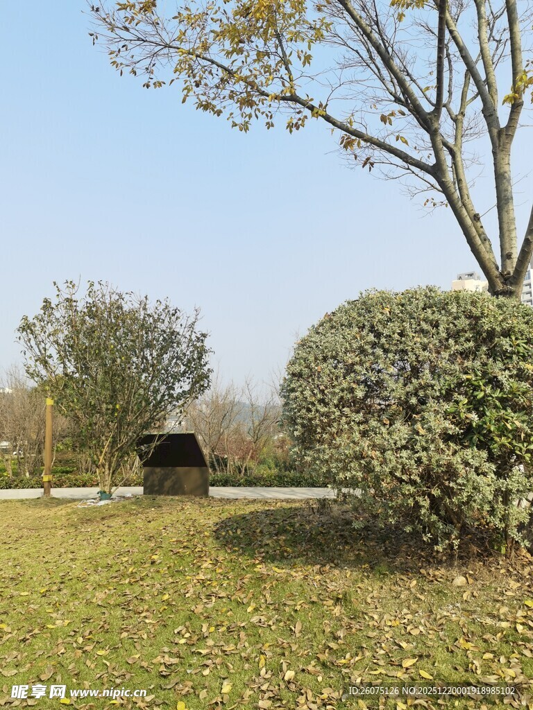 户外草地旁的树木与小屋