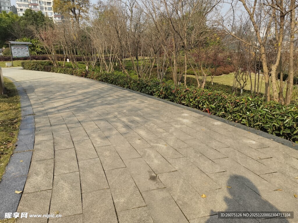 冬日公园蜿蜒砖石小径