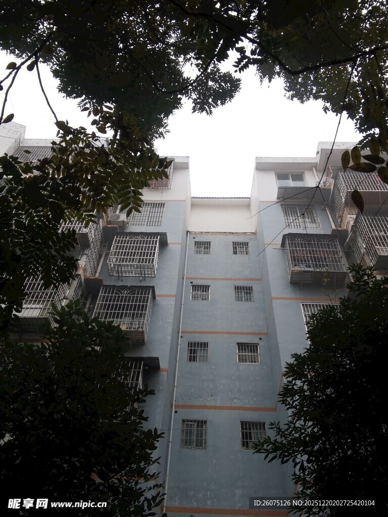 居民楼被绿树环绕