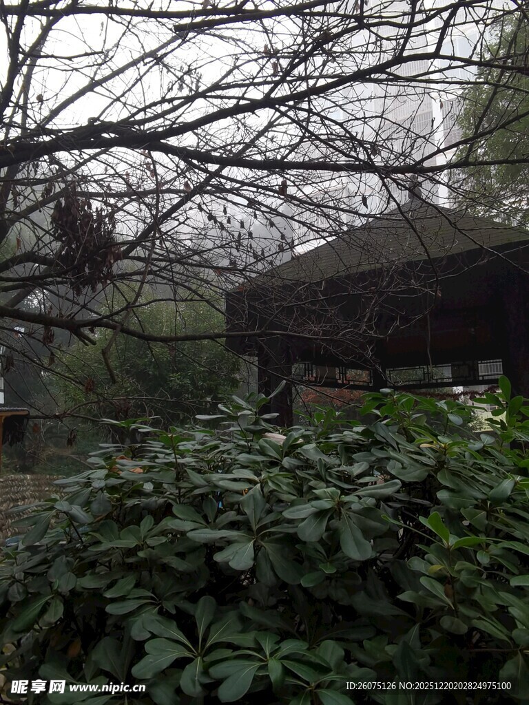 园林中的亭与繁茂绿植