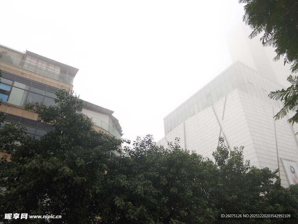 雾中城市建筑与绿植景观