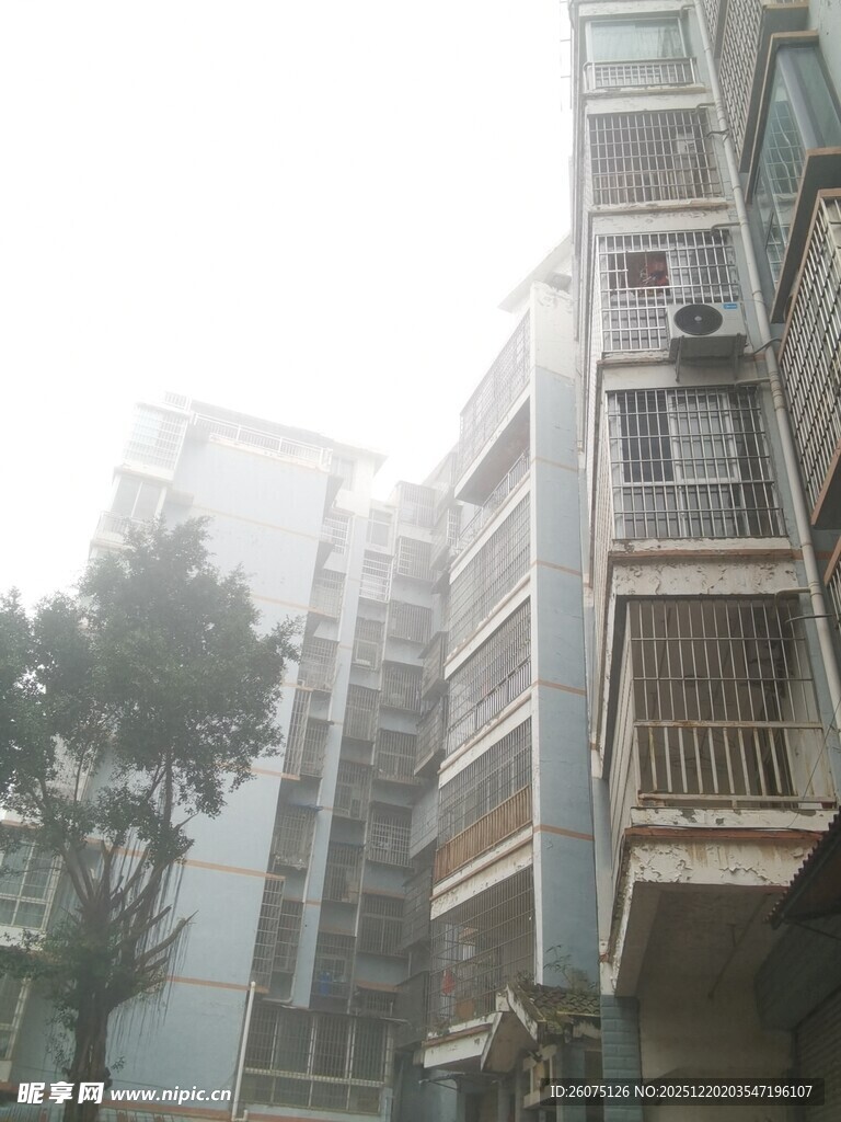 雾中居民楼景象