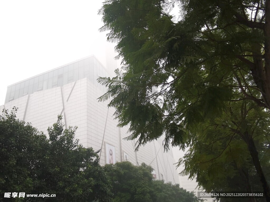 雾中树木与建筑景观