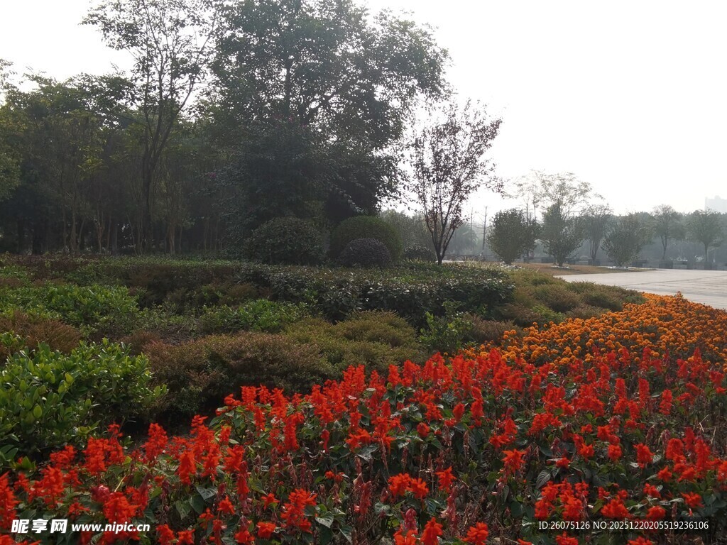 绚烂花海自然美景如画