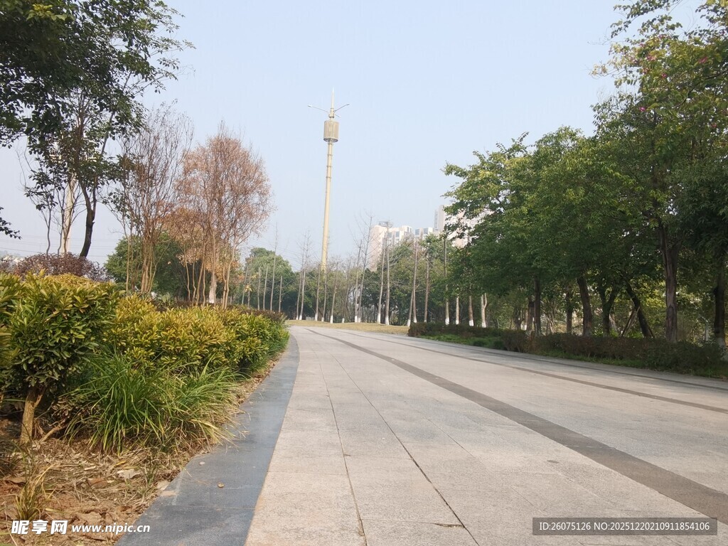 城市林荫步道景观